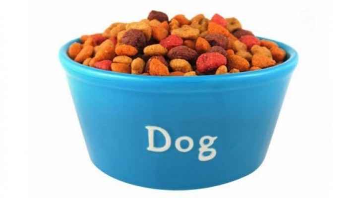 Man eats dog food for 30 days to prove it’s good enough for dogs