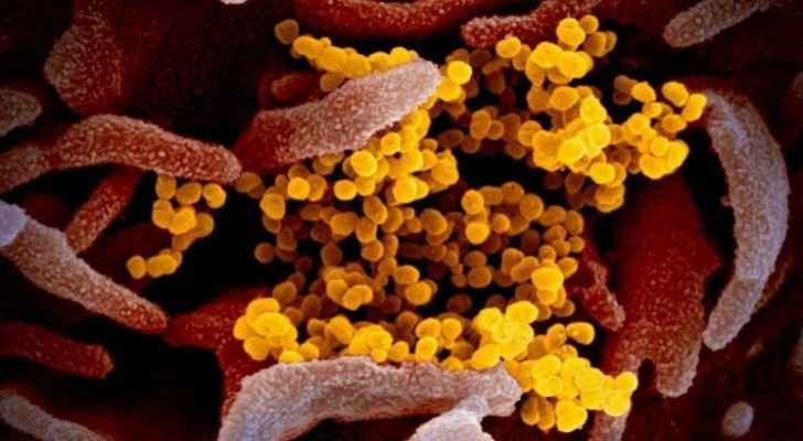U.S. researchers publish coronavirus microscope images
