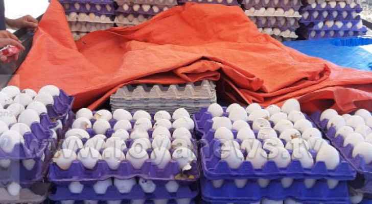 1.5 tons of rotten eggs destroyed in Ramtha