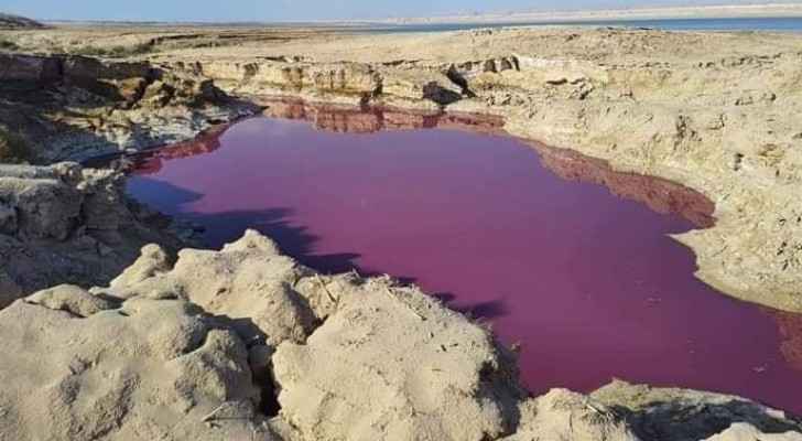 Jordan Valley Authority reveals reason behind appearance of red water in pond near Dead Sea