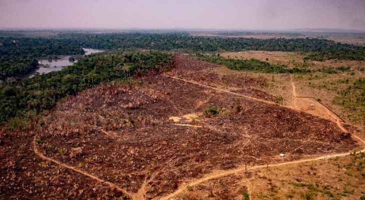 Amazon sees record deforestation