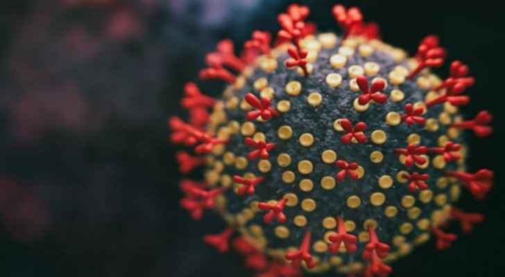 Here are the latest developments in coronavirus around the world