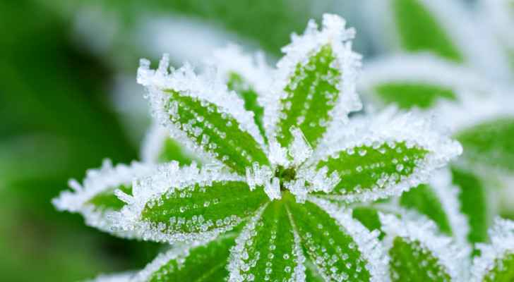 JMD warns of frost formation on Monday night