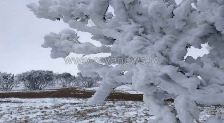 Snow, cold weather expected in coming days: Tarifi