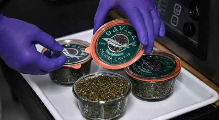 Thai... caviar? Farm produces delicacy in tropical climate