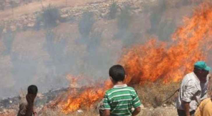 Israeli Occupation Forces set fire to agricultural lands east of Gaza