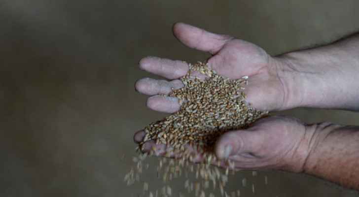 First grain shipments to leave Ukraine 'this week': minister