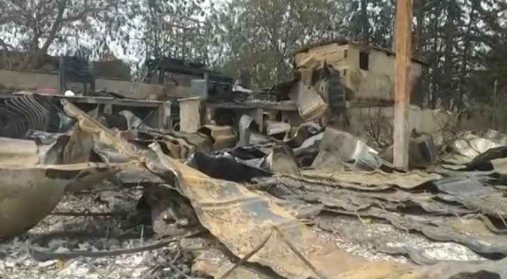 'Tornado of fire': Algeria forest blazes kill 38