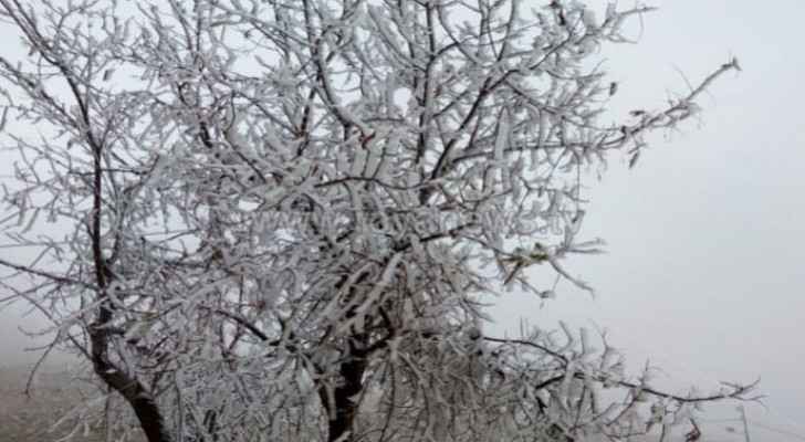 Snow falls in Tafilah, Ma'an