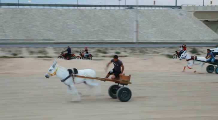 Bahrain donkey races draw crowds, condemnation