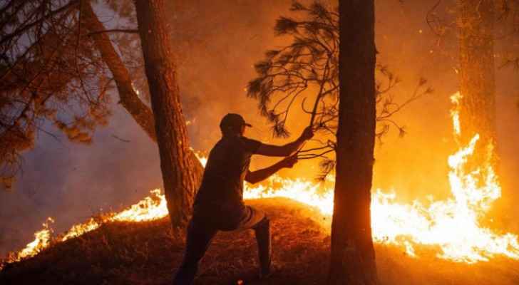 13 dead as Chile forest fires provoke state of disaster