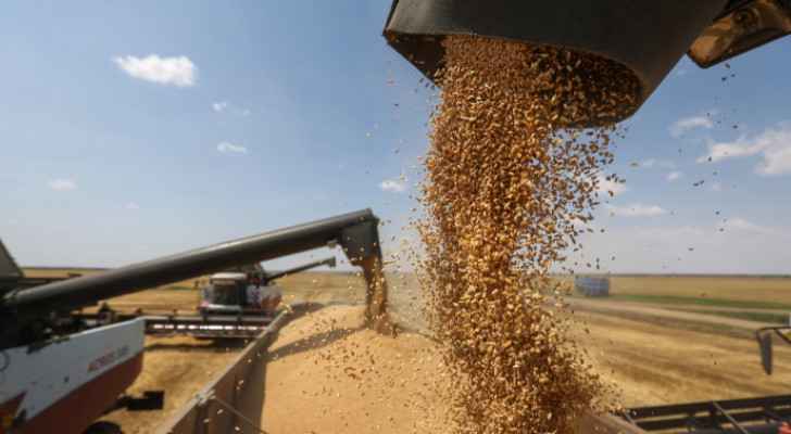 Ukraine harvested 35.2 million tons of grains, oilseeds