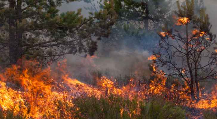 Fire breaks out in Ajloun